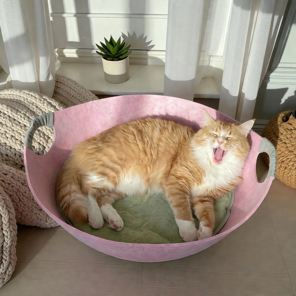 Barkmow Cuccia Gatto in Feltro con Tiragraffi – Letto 2 in 1 Lavabile e Resistente, Design Moderno